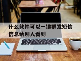 什么软件可以一键群发短信信息给别人看到