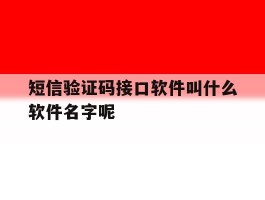短信验证码接口软件叫什么软件名字呢