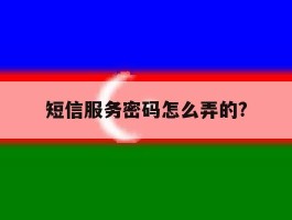 短信服务密码怎么弄的?