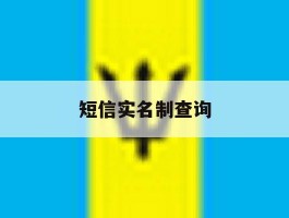 短信实名制查询