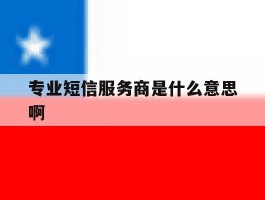 专业短信服务商是什么意思啊
