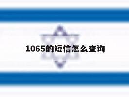 1065的短信怎么查询