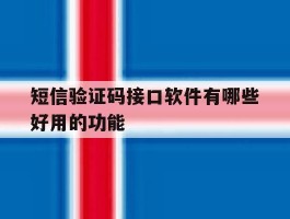 短信验证码接口软件有哪些好用的功能