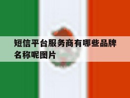 短信平台服务商有哪些品牌名称呢图片