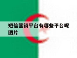 短信营销平台有哪些平台呢图片