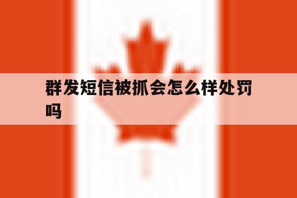 群发短信被抓会怎么样处罚吗 群发短信被抓会怎么样处罚吗