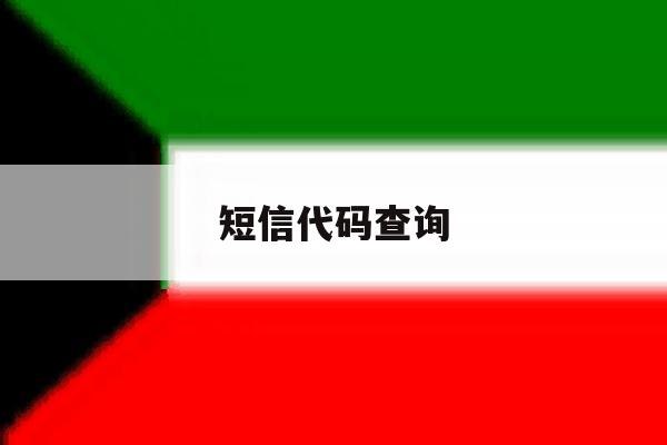 短信代码查询 短信代码查询