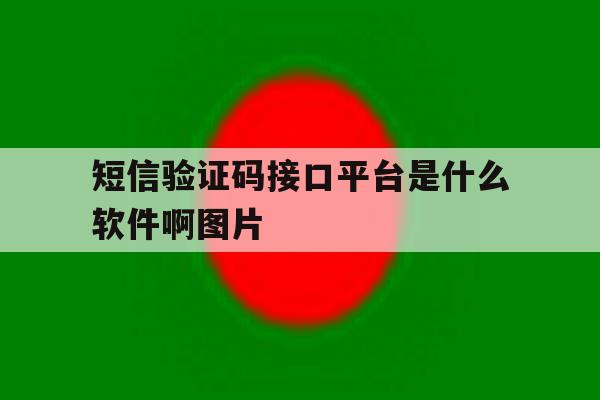 关于短信验证码接口平台是什么软件啊图片的信息 关于短信验证码接口平台是什么软件啊图片的信息