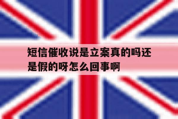 短信催收说是立案真的吗还是假的呀怎么回事啊的简单介绍 短信催收说是立案真的吗还是假的呀怎么回事啊的简单介绍