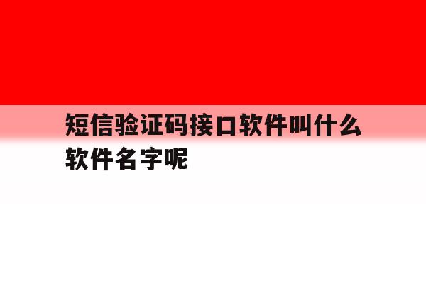 短信验证码接口软件叫什么软件名字呢 短信验证码接口软件叫什么软件名字呢