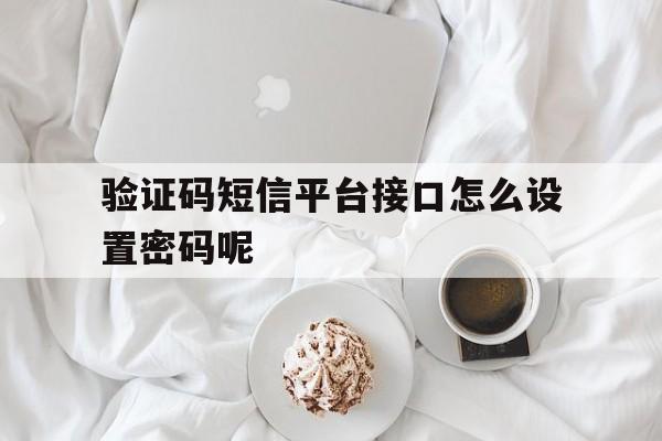 验证码短信平台接口怎么设置密码呢 验证码短信平台接口怎么设置密码呢
