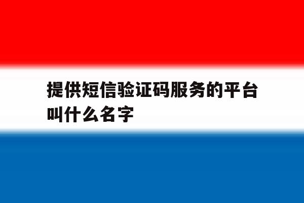 提供短信验证码服务的平台叫什么名字 提供短信验证码服务的平台叫什么名字