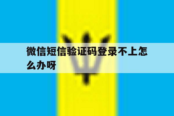 微信短信验证码登录不上怎么办呀 微信短信验证码登录不上怎么办呀