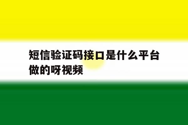 短信验证码接口是什么平台做的呀视频 短信验证码接口是什么平台做的呀视频