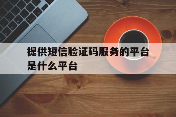 提供短信验证码服务的平台是什么平台 提供短信验证码服务的平台是什么平台