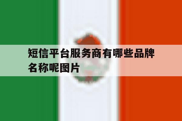 短信平台服务商有哪些品牌名称呢图片 短信平台服务商有哪些品牌名称呢图片