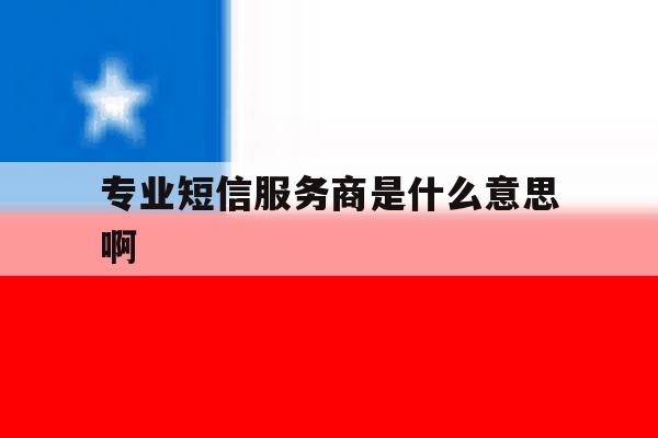 专业短信服务商是什么意思啊 专业短信服务商是什么意思啊