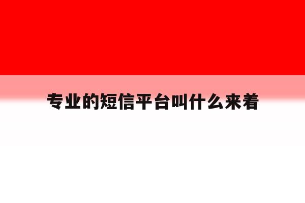 专业的短信平台叫什么来着 专业的短信平台叫什么来着