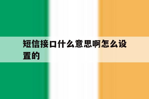 短信接口什么意思啊怎么设置的 短信接口什么意思啊怎么设置的