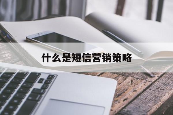什么是短信营销策略 什么是短信营销策略