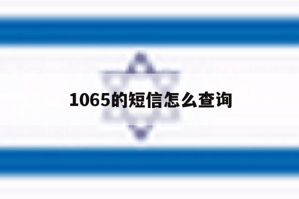 1065的短信怎么查询 1065的短信怎么查询