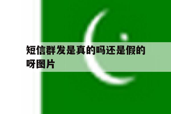 短信群发是真的吗还是假的呀图片 短信群发是真的吗还是假的呀图片